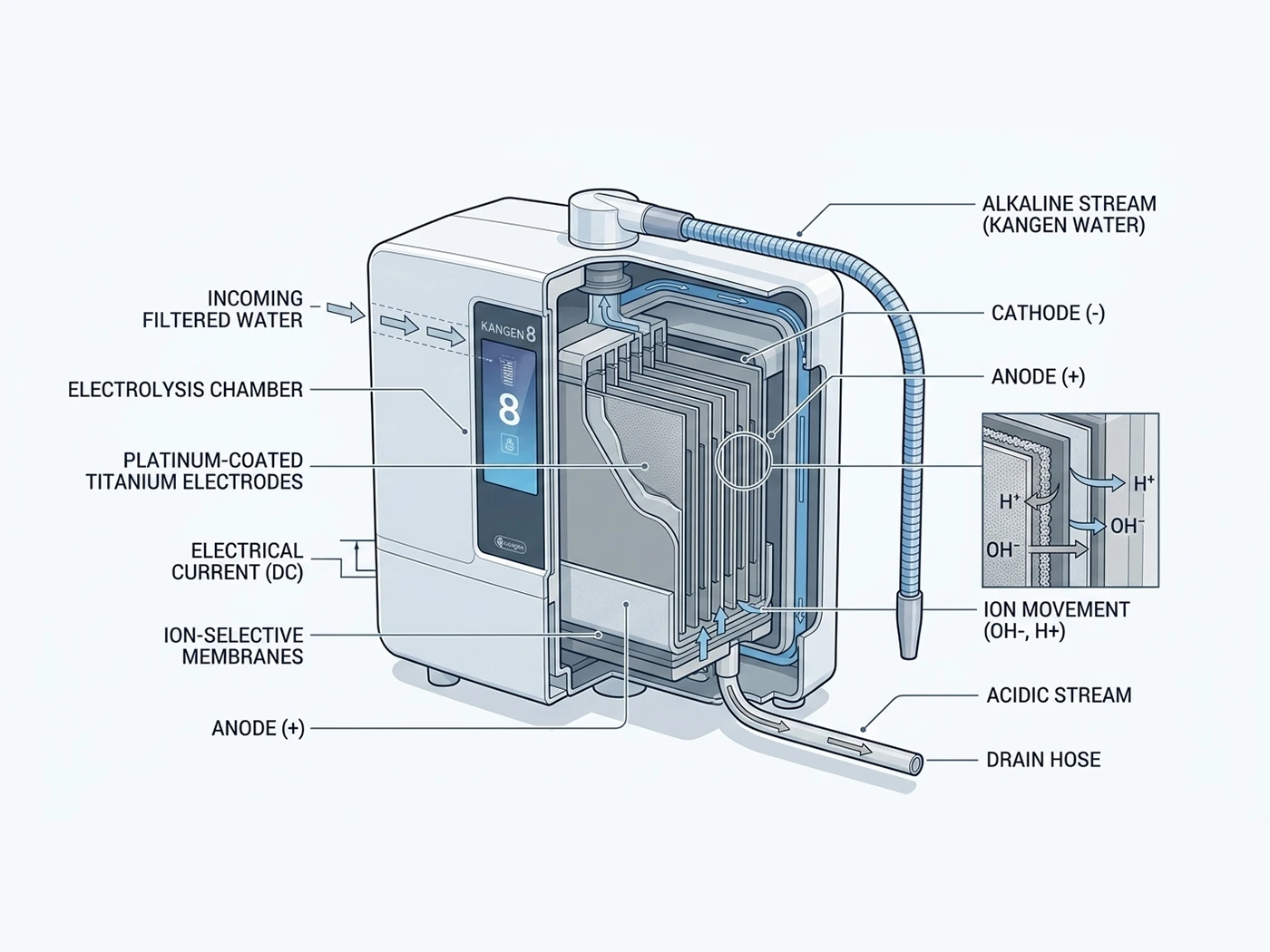 Cross section of a Kangen Water machine electrolysis chamber showing platinum-coated titanium plates