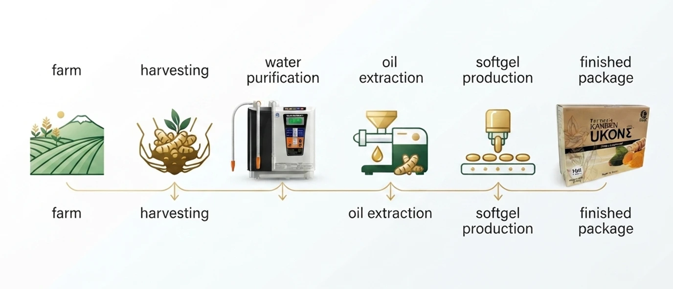 lustration of the Kangen UKON turmeric production process from cultivation to softgel packaging