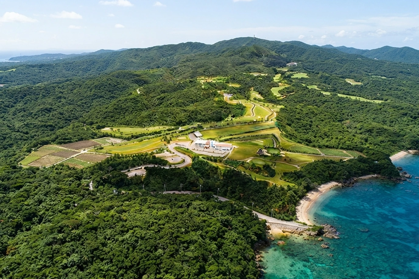 Yanbaru forest in Okinawa where premium wild turmeric for Kangen UKON is cultivated